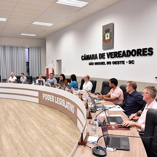 Câmara de SMO aprova projeto que libera funcionamento do comércio em qualquer dia