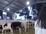 Segundo dia de Expo Cedro 2023!