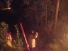 Bombeiros combatem incêndio em área de reflorestamento por 27 horas