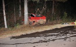 Motorista morre em colisão com árvore na PR-884
