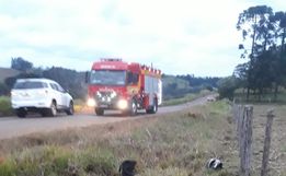 Saída de pista de motocicleta deixa mulher ferida 