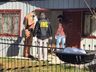 Casal é encontrado morto em Coronel Vivida