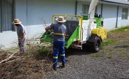 Trabalho de trituração de galhos será finalizado neste mês em SMOeste 