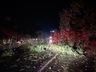 Temporal derruba árvore e bloqueia BR-282 em São Miguel Oeste  