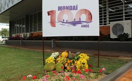Mondaí: 100 anos de colonização, histórias e conquistas
