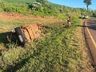Jovem fica gravemente ferido em capotamento na PR-180 