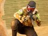 AKVA Airsoft conquista o 1º Campeonato 5x5 Airsoft de Modelo; saiba mais