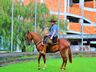 Integrantes da 34ª Cavalgada da Integração Sul Brasileira chegam em SMOeste 