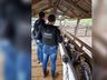 Polícia Civil realiza fiscalização em propriedade rural de Modelo
