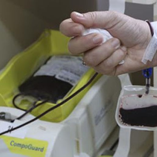 Doações de sangue caem 40% no Hemosc de Chapecó