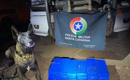 Mulher é presa em flagrante por tráfico de quase 21 quilos de maconha na BR-163