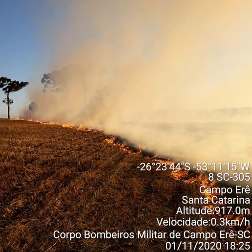 Bombeiros combatem incêndio em lavoura de trigo 