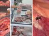 Carne podre e com moscas virava charque e era vendida no comércio de Itajaí