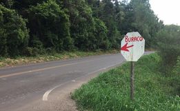 Usuário faz placa à mão indicando buraco na pista e evita acidentes