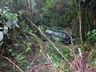 Mãe e filha de São Miguel do Oeste são as vítimas fatais de acidente na BR-282