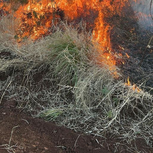 Incêndio em vegetação atinge 100 hectares após carro pegar fogo no interior de Sul Brasil