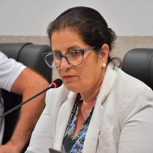 SMO: Vereadora pede ativação do Conselho de Políticas de Combate as Drogas 