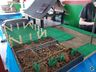 Escola de Santa Helena sedia 11ª edição da Feira Regional do Conhecimento