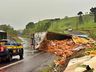 Carreta carregada com 25 toneladas de batatas tomba na BR-282 em SMOeste