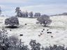 Primeira neve do ano em SC pode chegar nesta terça-feira devido a combo climático