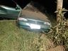 Veículo sai da pista e colide em árvore no interior