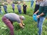 Capacitação sobre nutrição rentável de vacas leiteiras reúne produtores em Bandeirante 