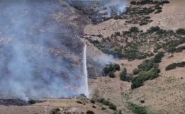 Homem tenta queimar aranha com isqueiro, causa incêndio florestal e é preso