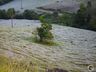 Geada muda paisagem em São Miguel do Oeste neste domingo; FOTOS E VÍDEO