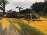 Caminhão carregado com 37 toneladas de milho tomba no Paraná 