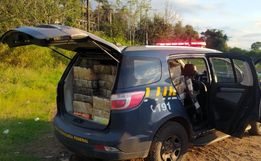 PRF encontra quase 500 kg de maconha às margens da BR-282 em Iraceminha