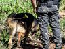 Polícia Civil realiza operação em comunidade de São Miguel do Oeste