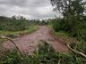Temporal derruba árvores e interdita SC-496 em Santa Helena