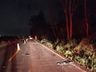 Criança de 6 anos morre em batida com carro parado em SC; motorista foge
