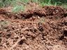 Motorista morre ao tombar caminhão em ribanceira 