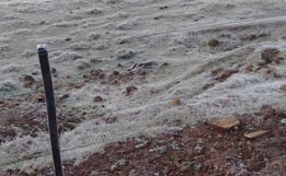 Geada cobre a região na manhã desta segunda-feira