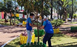 Decoração de natal começa a ser instalada em São José do Cedro