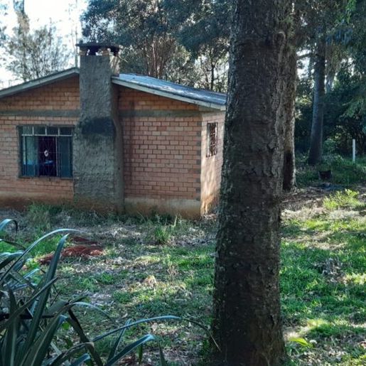 Homem é encontrado morto com marcas de tiro no crânio e tórax na região
