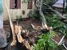 Ventania derruba árvores e danifica casa no interior de Iporã do Oeste e São João do Oeste