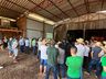 Epagri realiza Dia de Campo para apresentação da cultura de inverno