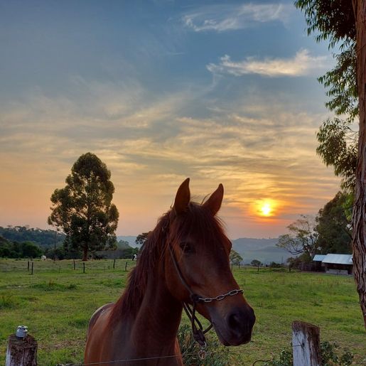 Acisjo divulga ganhadores do concurso Fotografe São João