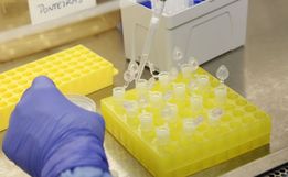 Universidade brasileira desenvolve vacina por spray nasal contra a Covid-19