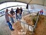Confira fotos de domingo da maior feira multisetorial da região