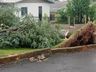 Vento e chuva provocam destelhamento de casas em Palma Sola