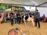 Julgamento do gado leiteiro e rodada de negócios movimentam o sábado na Expo Campo Erê