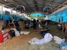 3º dia do Itaipu Rural Show tem como destaque Feira Ranqueada de Animais