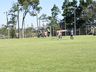 Pérola e Grêmio da Canela estão na final do Municipal de SMO