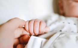 Bebê com 21 dias é atacado e morto por pitbull da própria família