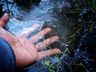 VÍDEO: Frio provoca congelamento da superfície d’água na Serra
