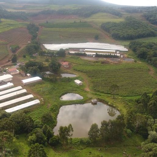 Após busca ativa, reduz 50% número de propriedades sem CAR na região