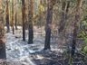 Bombeiros combatem incêndio em mata por cerca de 19 horas